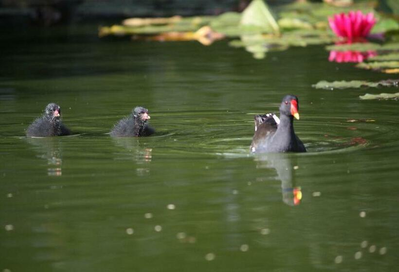 The Beeches Bed And Breakfast