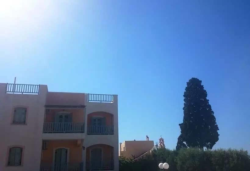 Amazones Sun Studios