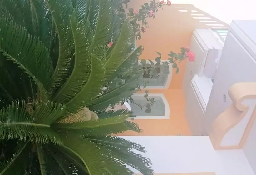 Amazones Sun Studios