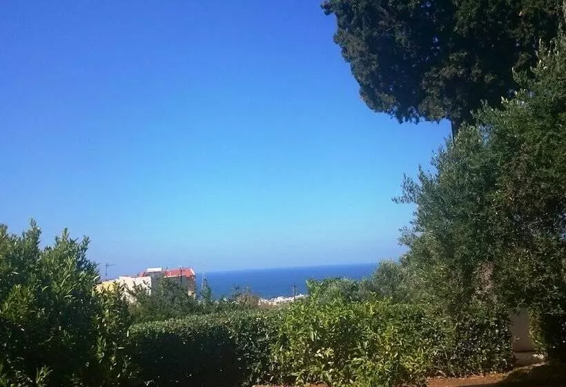 Amazones Sun Studios