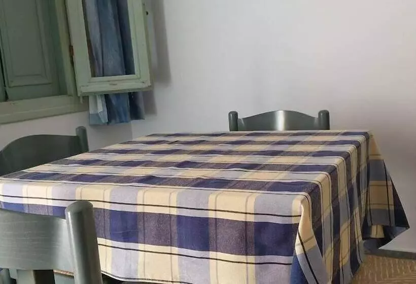 Amazones Sun Studios