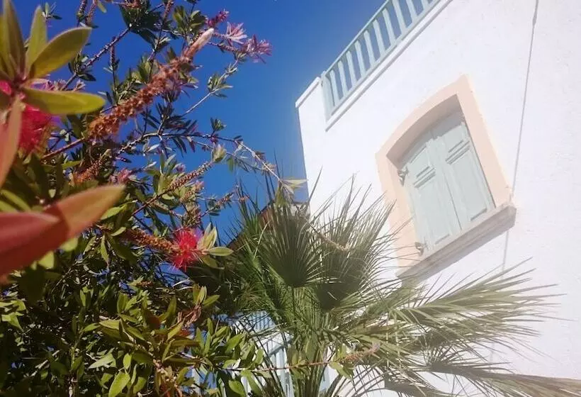 Amazones Sun Studios