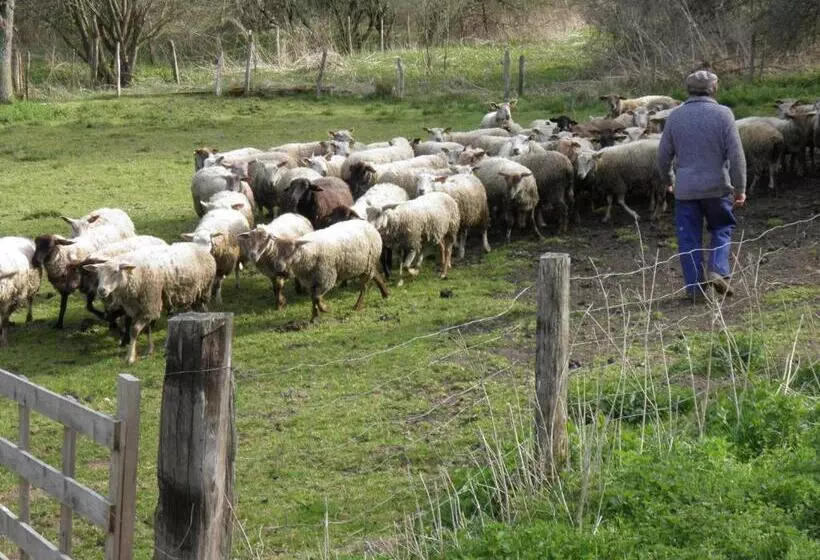 Apparthotel Privilodges Carré De Jaude