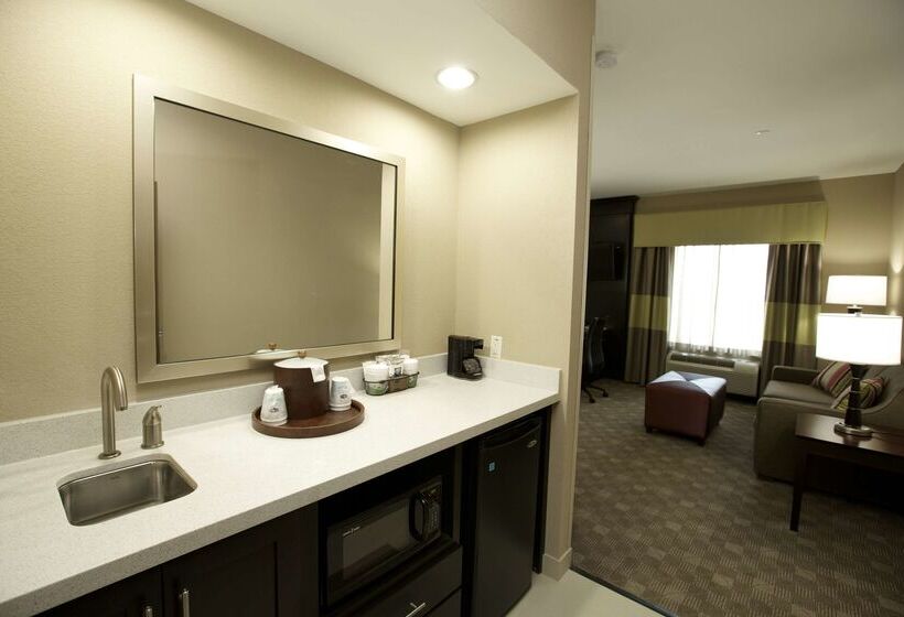호텔 Hampton Inn & Suites Missouri City, Tx