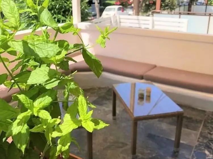 בית מלון כפרי Mimosa Suites