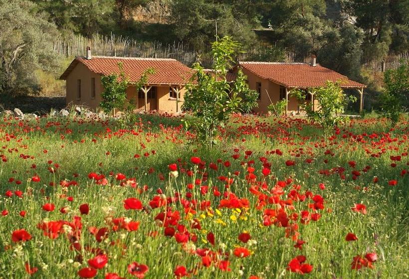 호텔 Pastoral Vadi