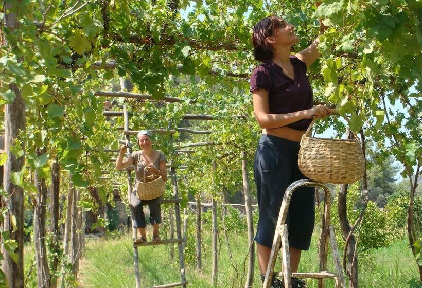 호텔 Pastoral Vadi