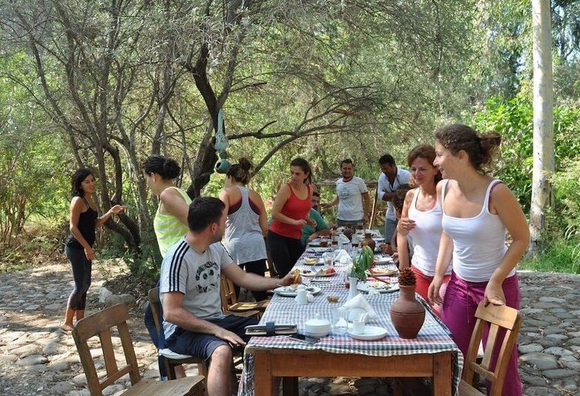 호텔 Pastoral Vadi