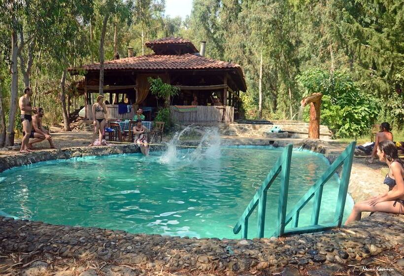 호텔 Pastoral Vadi