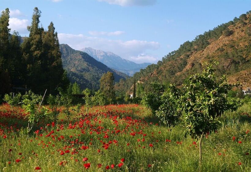 호텔 Pastoral Vadi