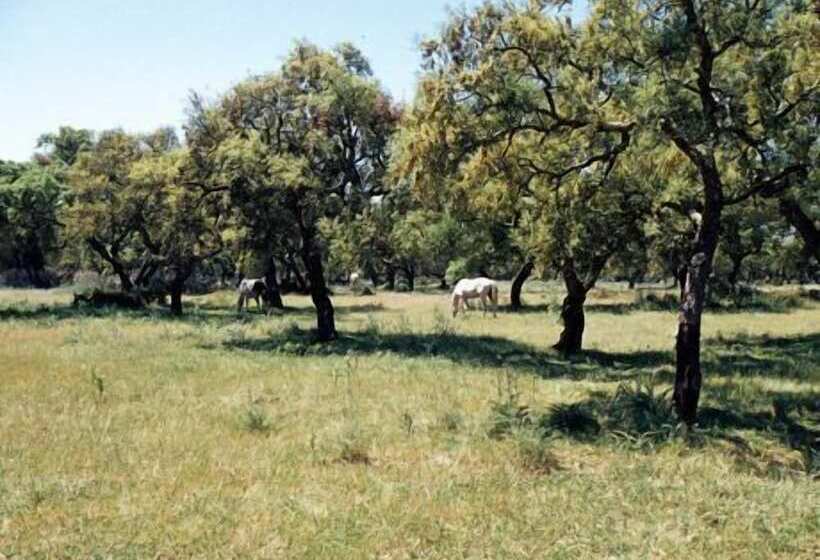 בית מלון כפרי São Lourenço