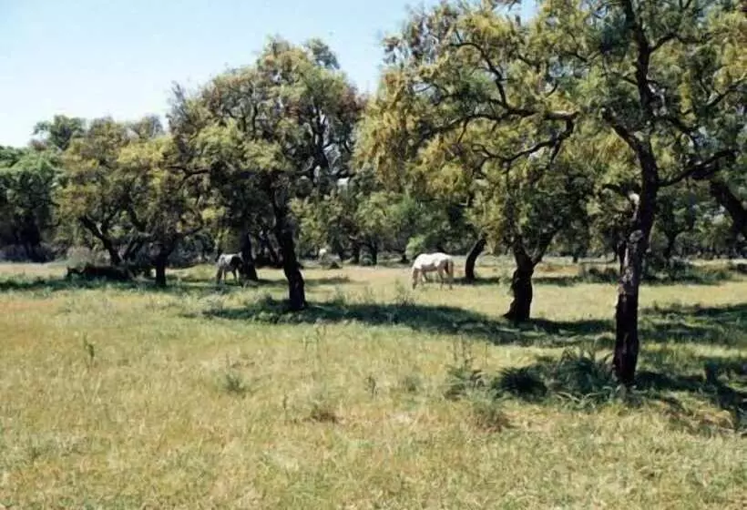 هتل São Lourenço