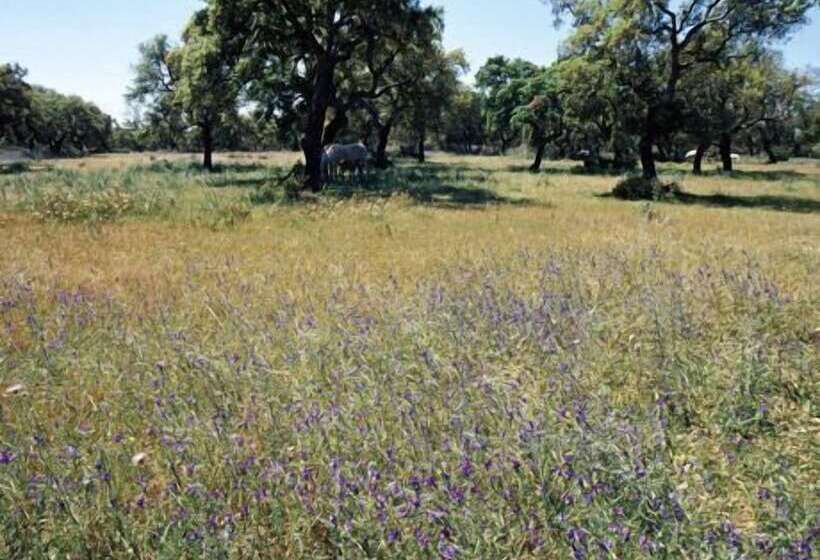 בית מלון כפרי São Lourenço