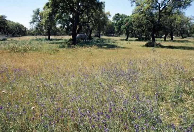 هتل São Lourenço