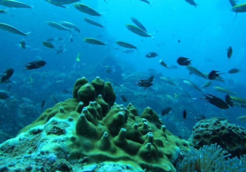 فندق The Happiness Resort