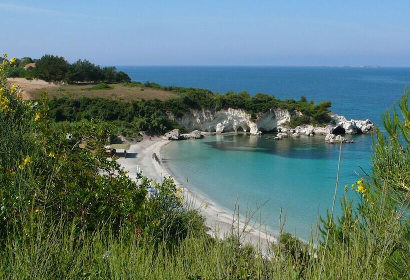 Oskars Studios & Apartments