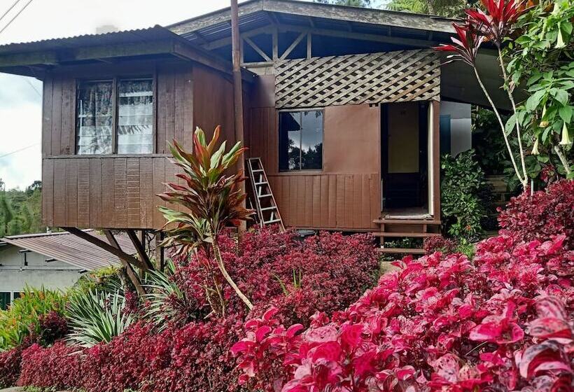 Hotel Oyo 90430 Mountain Resthouse