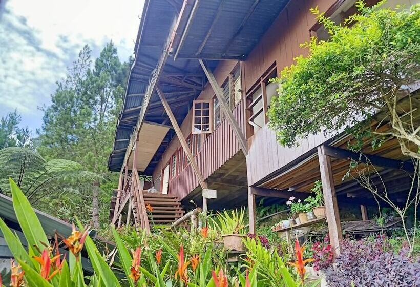 Hotel Oyo 90430 Mountain Resthouse