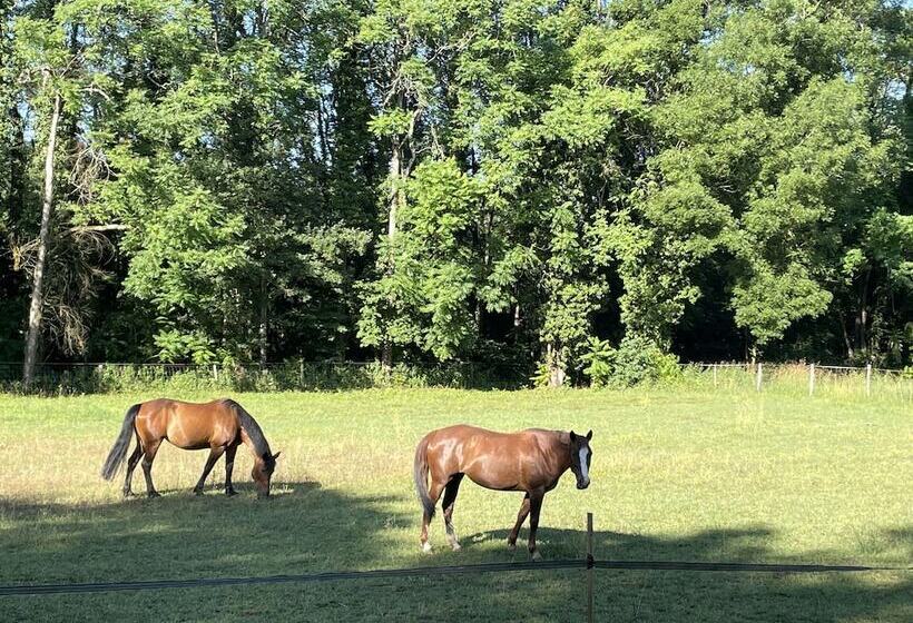 بنسيون Chateau Du Go