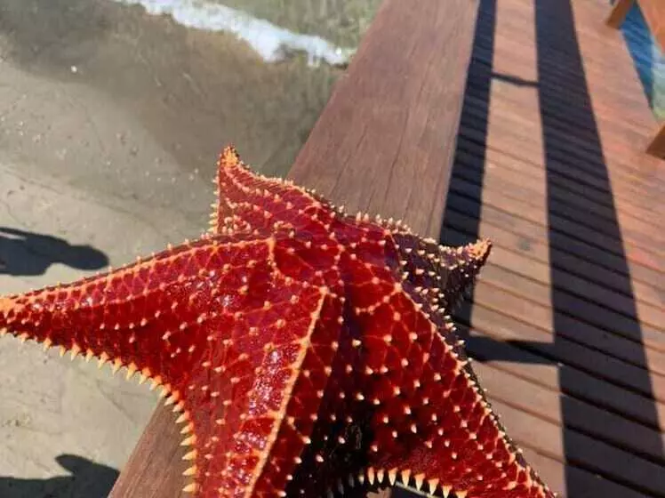 پانسیون Pousada Toca Do Cambu