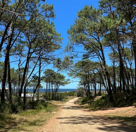 Капсульный Oтель Domosdemar