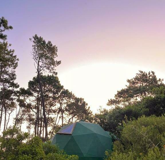 Капсульный Oтель Domosdemar