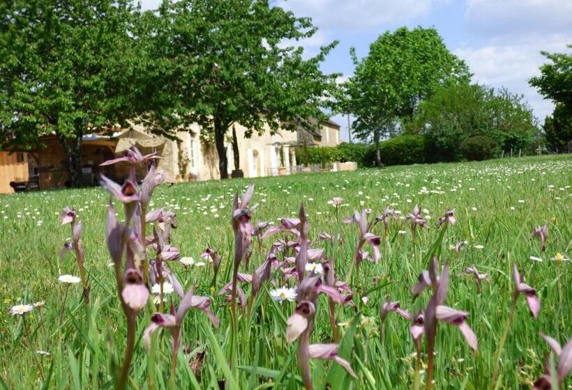 Bed and Breakfast Britavit