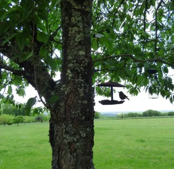 ベッドアンドブレックファースト Britavit