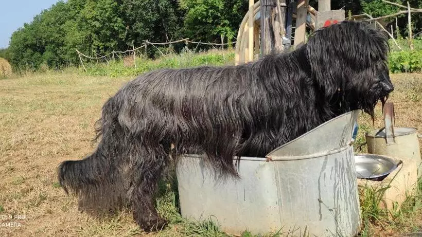 ベッドアンドブレックファースト Britavit