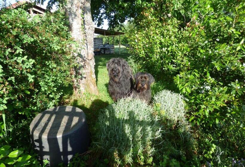 Bed and Breakfast Britavit