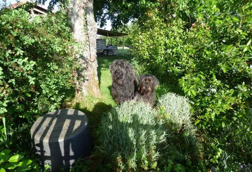 ベッドアンドブレックファースト Britavit