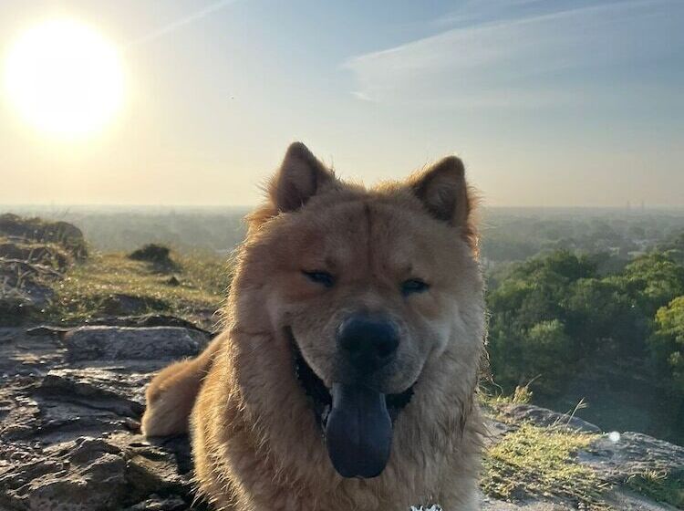 Bed and Breakfast Buenosdías Izamal