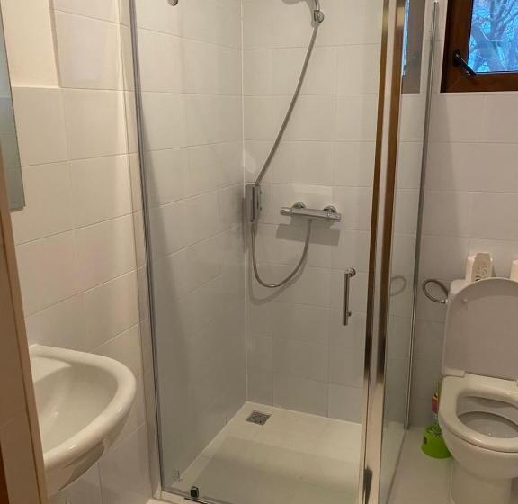 Пансион Casa Britonia