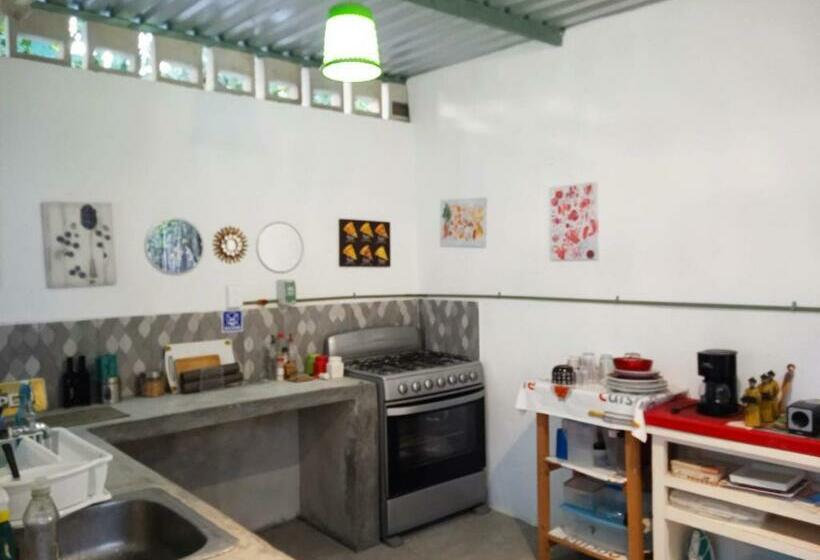 Pansiyon Room In Guest Room  Studio 6 In Downtown Cancun