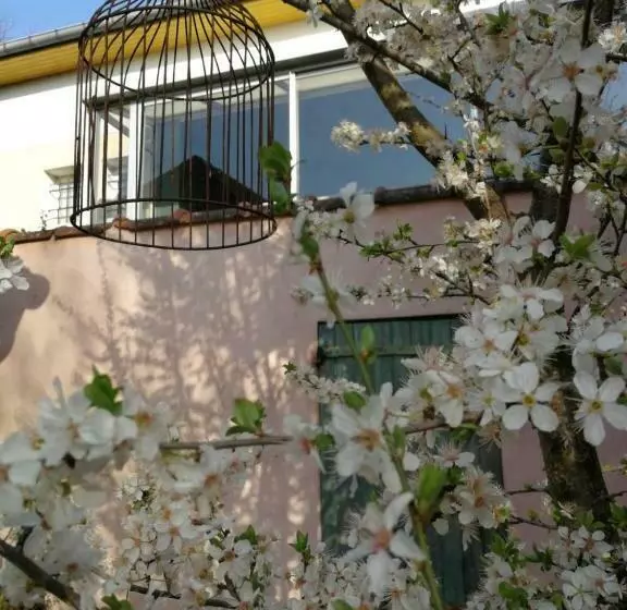 Majatalo Un Verger Dans La Ville