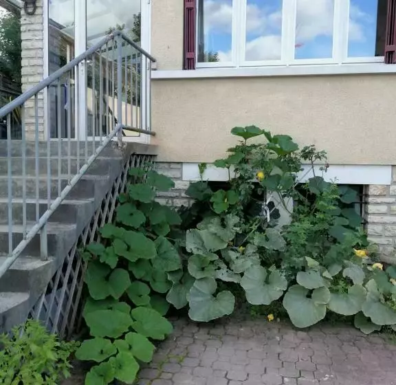 Majatalo Un Verger Dans La Ville