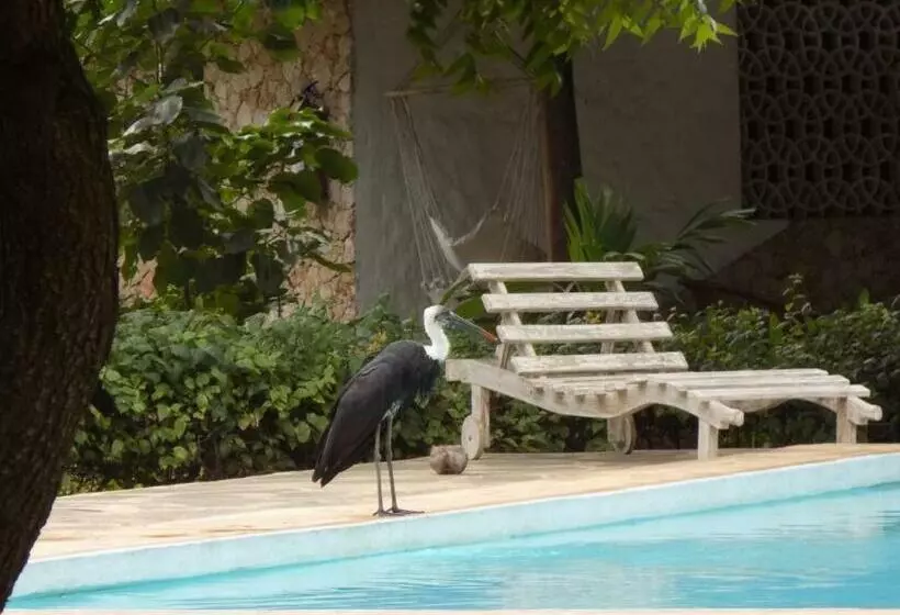 تختخواب و صبحانه Watamu Eco Villas
