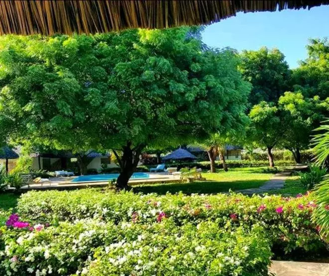 تختخواب و صبحانه Watamu Eco Villas