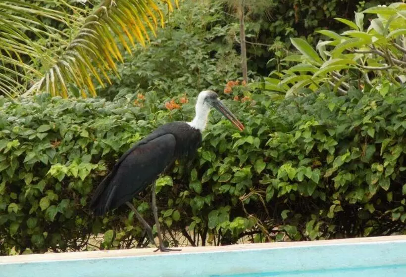 تختخواب و صبحانه Watamu Eco Villas