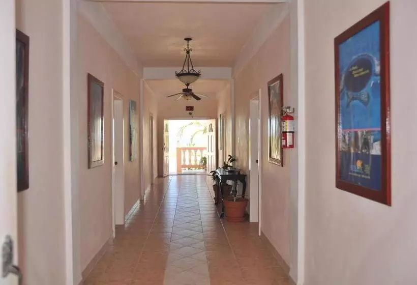 پانسیون Sea View Suites