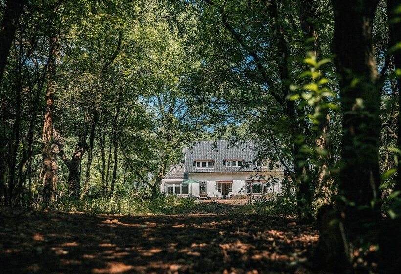 בית מלון כפרי De Wever Lodge