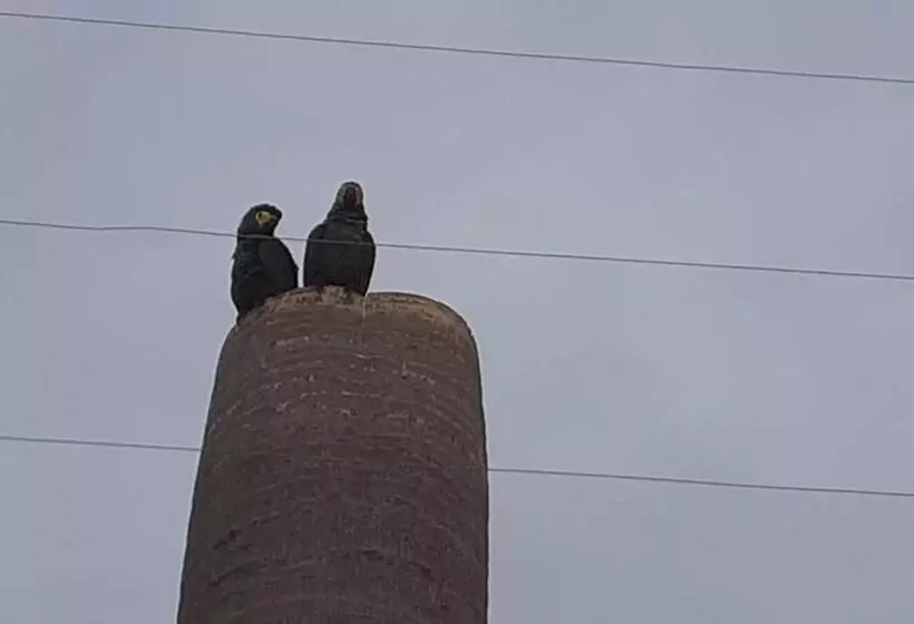 Majatalo Hostel Raizer