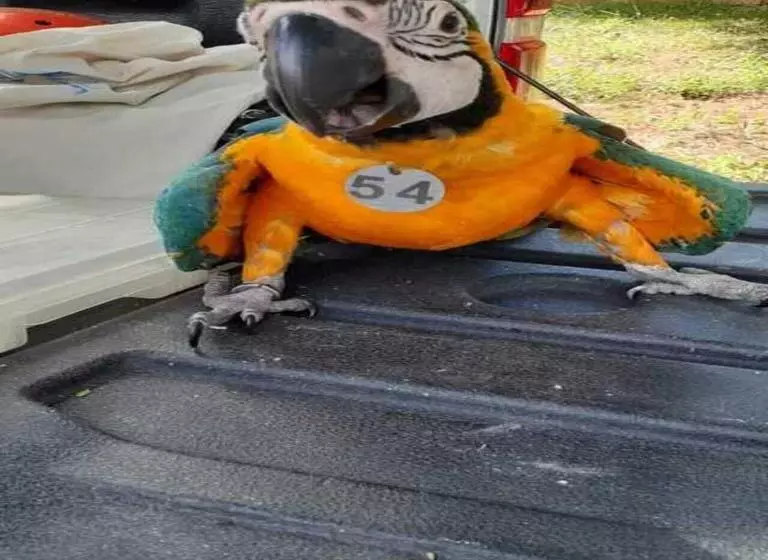 Majatalo Hostel Raizer