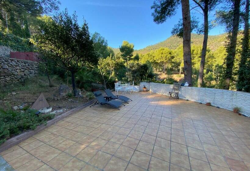 Bed and Breakfast Villa Desierto De Las Palmas Benicasim