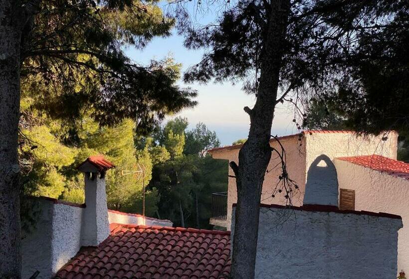 Bed and Breakfast Villa Desierto De Las Palmas Benicasim