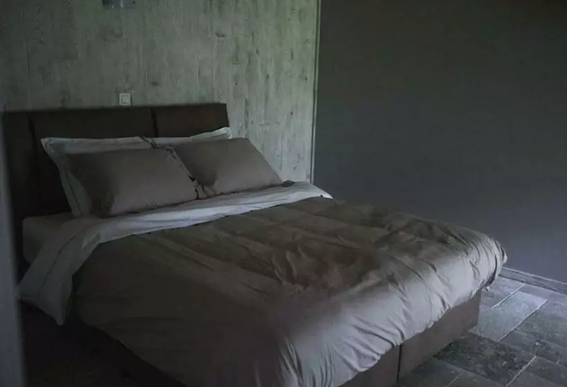 Bed and Breakfast Het Spechtennest