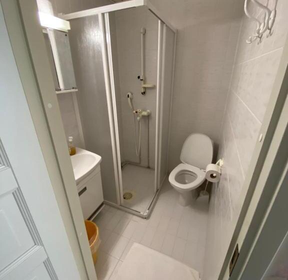 تختخواب و صبحانه Li Kultainen Joutsen