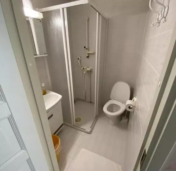 Aamiaismajoitus (B&B) Li Kultainen Joutsen