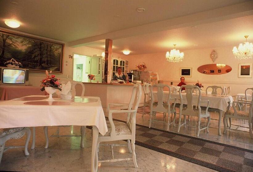 تختخواب و صبحانه Li Kultainen Joutsen