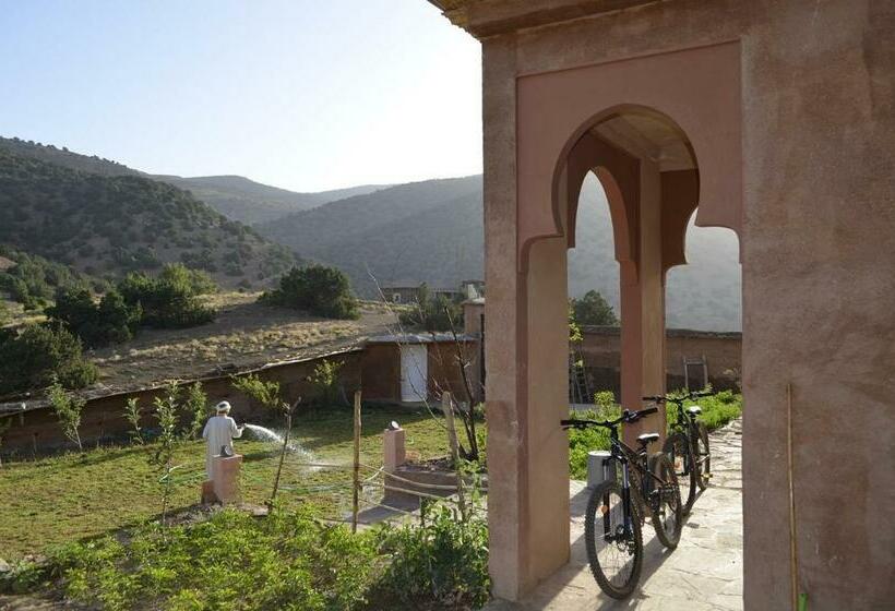 Hotel Adazen Ecolodge